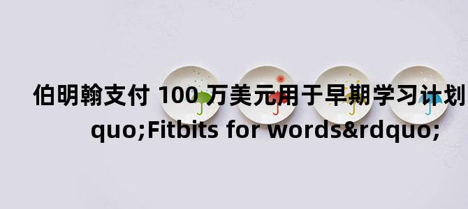'伯明翰支付 100 万美元用于早期学习计划，包括“Fitbits for words”'